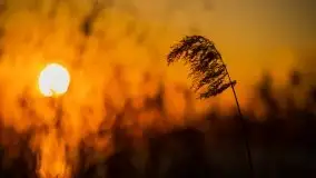 Zachód słońca nad jeziorem Kruklin - zdjęcie 19