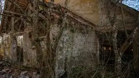 Ruiny Pałacu w Mieduniszkach Wielkich - zdjęcie 83