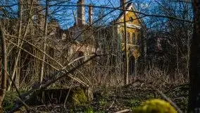 Ruiny Pałacu w Mieduniszkach Wielkich - zdjęcie 85