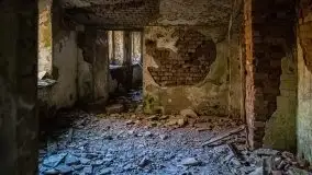 Ruiny Pałacu w Mieduniszkach Wielkich - zdjęcie 92