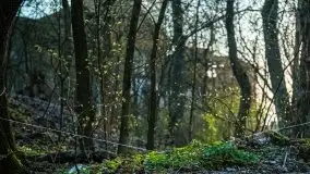 Niszczejąca perełka włoskiej architektury w Silginach - zdjęcie 45