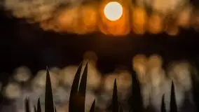 Zachód Słońca Piękna Góra, jez. Kisajno - zdjęcie 28