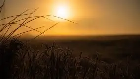 Wschód słońca w Giżycku, ul. Obwodowa - zdjęcie 13