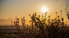 Wschód słońca w Giżycku, ul. Obwodowa - zdjęcie 19