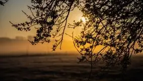 Wschód słońca w Giżycku, ul. Obwodowa - zdjęcie 21