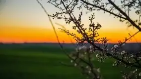 Zachód słońca niedaleko wsi Sulimy - zdjęcie 32