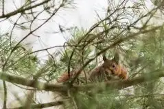 Zdjęcia: Mazurska wiosna na zdjęciach Janka Olchówki - zdjęcie 6