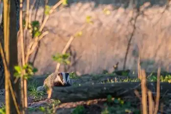 Zdjęcia: Mazurska wiosna na zdjęciach Janka Olchówki