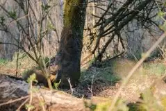 Zdjęcia: Mazurska wiosna na zdjęciach Janka Olchówki - zdjęcie 29