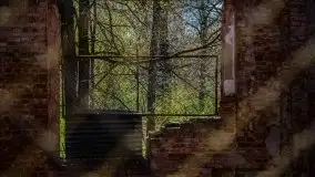 Zdjęcia: Pałac w Prośnie – monumentalna, romantyczna i tajemnicza ruina - zdjęcie 47