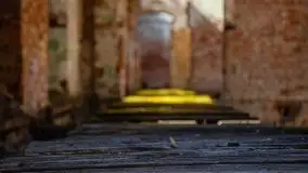 Zdjęcia: Pałac w Prośnie – monumentalna, romantyczna i tajemnicza ruina - zdjęcie 34