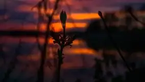 Zachód słońca nad jeziorem Tajty, 29 kwietnia 2020r. - zdjęcie 21