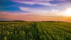 Mazurska i wiosenna flora i fauna na zdjęciach Staszka Sielewicza - zdjęcie 20