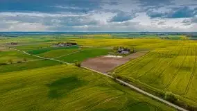 Mazurskie pola rzepaku na początku maja 2020 r. - zdjęcie 22