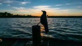 Zachód słońca nad jeziorem Ryńskim, Rybical - zdjęcie 9