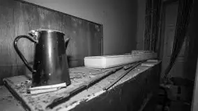 Cień historii sprzed kilkudziesięciu lat w jednym z pałacyków - zdjęcie 37