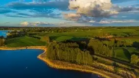 Złoto w kolorach słońca i rzepaku, maj 2020.r - zdjęcie 33