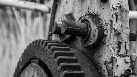 Niemy świadek mazurskich jezior spoczywa koło Rynu - zdjęcie 51