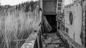 Niemy świadek mazurskich jezior spoczywa koło Rynu - zdjęcie 27