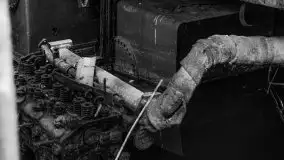 Niemy świadek mazurskich jezior spoczywa koło Rynu - zdjęcie 59