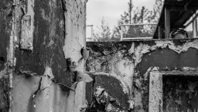 Niemy świadek mazurskich jezior spoczywa koło Rynu - zdjęcie 77