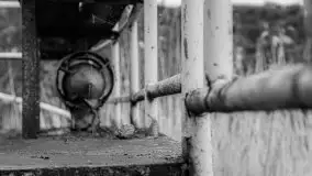 Niemy świadek mazurskich jezior spoczywa koło Rynu - zdjęcie 78