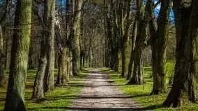 Jeden z piękniejszych pałaców na Mazurach - Łężany - zdjęcie 50