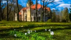 Jeden z piękniejszych pałaców na Mazurach - Łężany - zdjęcie 38