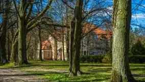 Jeden z piękniejszych pałaców na Mazurach - Łężany - zdjęcie 23