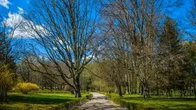 Jeden z piękniejszych pałaców na Mazurach - Łężany - zdjęcie 39