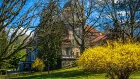 Jeden z piękniejszych pałaców na Mazurach - Łężany - zdjęcie 48