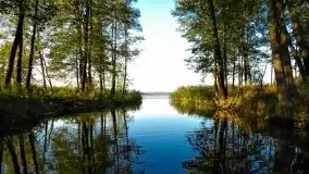 Zdjęcia: Poradnik - motorowodne Mazury - jeziora Święcajty, Stręgiel - zdjęcie 23