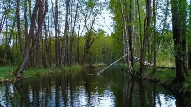 Zdjęcia: Poradnik - motorowodne Mazury - jeziora Święcajty, Stręgiel - zdjęcie 3