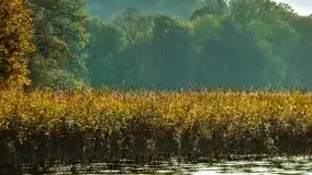 Zdjęcia: Poradnik - motorowodne Mazury - jezioro Dargin - zdjęcie 12