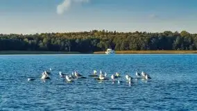 Zdjęcia: Poradnik - motorowodne Mazury - jezioro Dargin - zdjęcie 2