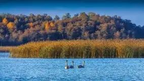 Zdjęcia: Poradnik - motorowodne Mazury - jezioro Dargin - zdjęcie 18