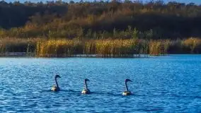 Zdjęcia: Poradnik - motorowodne Mazury - jezioro Dargin - zdjęcie 8
