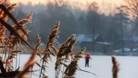Zdjęcia: Poradnik - motorowodne Mazury - jezioro Boczne - zdjęcie 24