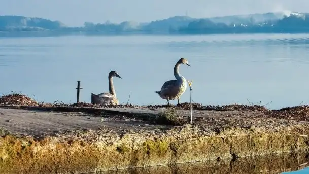 Zdjęcia: Poradnik - motorowodne Mazury - kanały między jeziorami Szymoneckie i Tałty - zdjęcie 7