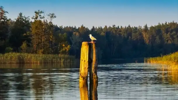Zdjęcia: Poradnik - motorowodne Mazury - jeziora Guzianka Mała i Wielka, Nidzkie - zdjęcie 3