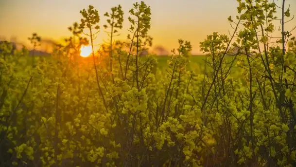 Wschód to nie tylko słońce, to także przejmująca cisza - zdjęcie 1