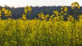 Wschód to nie tylko słońce, to także przejmująca cisza - zdjęcie 11