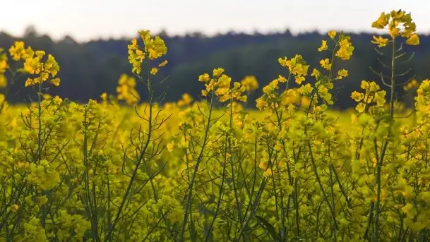 Wschód to nie tylko słońce, to także przejmująca cisza - zdjęcie 11