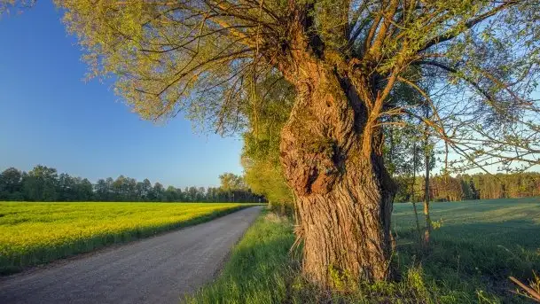 Wschód to nie tylko słońce, to także przejmująca cisza - zdjęcie 7