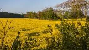 Wschód to nie tylko słońce, to także przejmująca cisza - zdjęcie 18