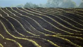 Wschód to nie tylko słońce, to także przejmująca cisza - zdjęcie 30