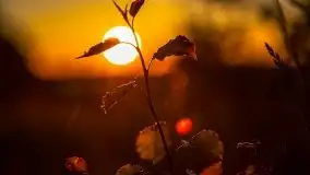 Zachód słońca widoczny z Grodzisko Święta Góra - zdjęcie 21