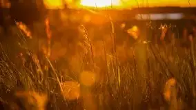 Zachód słońca widoczny z Grodzisko Święta Góra - zdjęcie 20