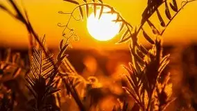 Zachód słońca widoczny z Grodzisko Święta Góra - zdjęcie 33