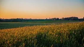 Zachód słońca widoczny z Grodzisko Święta Góra - zdjęcie 40